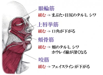 富山県高岡市 ボワールリフティング しわたるみ専用美顔エステ